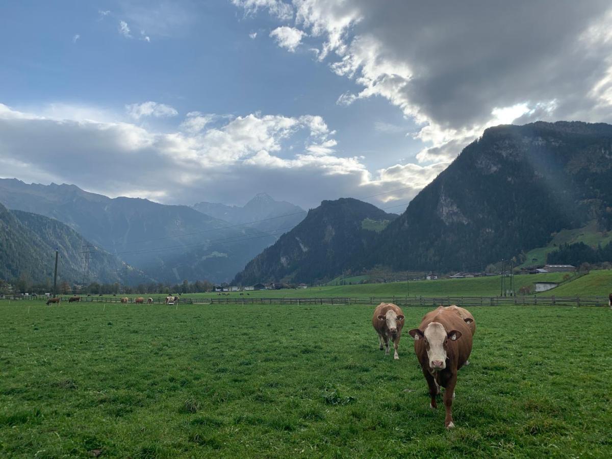 Apartmán Alpen-apart